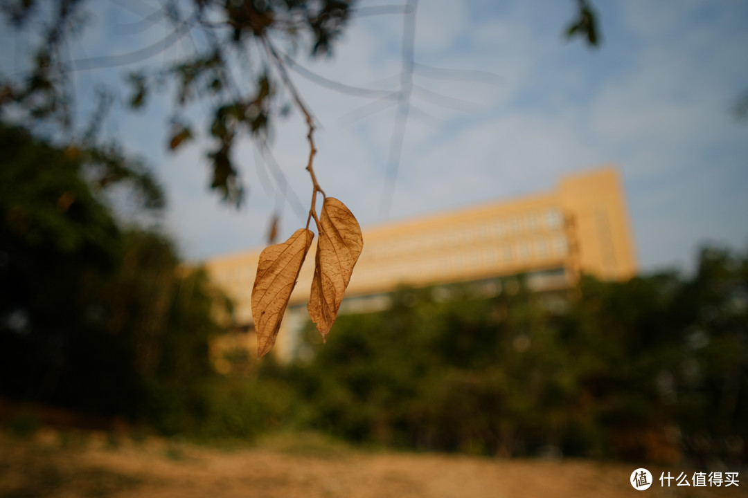 粗犷下的硬实力——中徕14mm f2超广角镜头详细评测