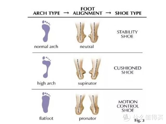 足弓形态图