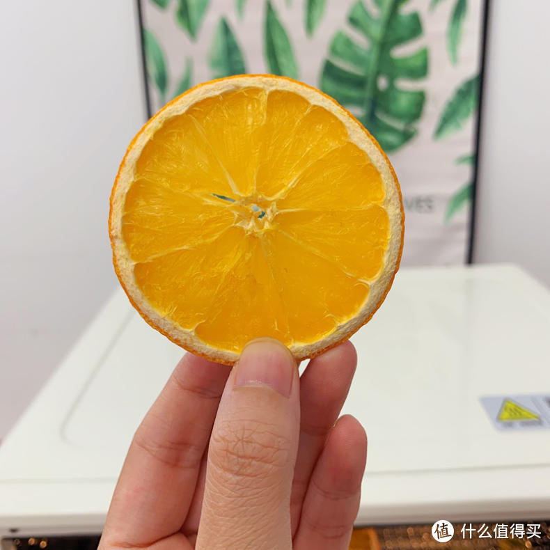 真·风炉烤箱的终极奥秘：背部环形发热管可不是吃素的！