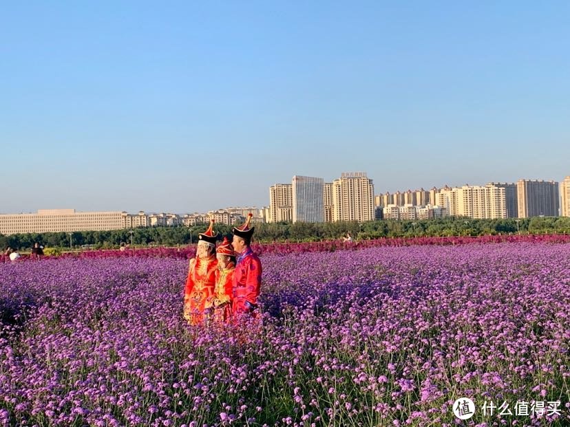 8月份的尾巴，找一个周末去内蒙看大草原