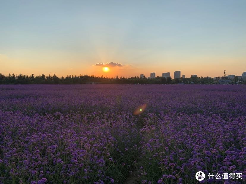 8月份的尾巴，找一个周末去内蒙看大草原