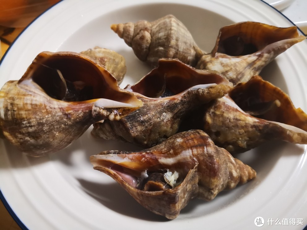 继续逛菜市场，33块钱一斤的海螺值不值得买？