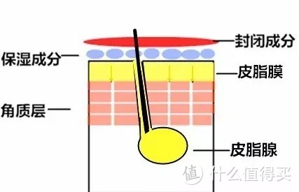 要补水保湿？先看懂成分！——冬季男士补水保湿攻略