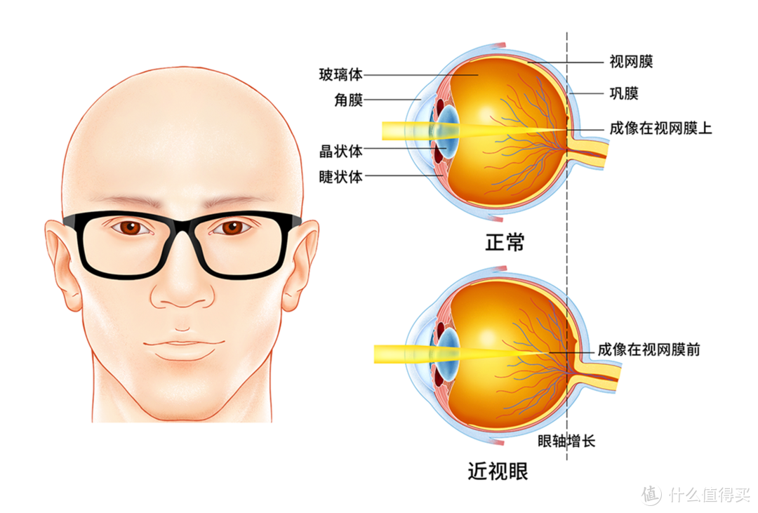 「眼镜选购指北」不知道怎么选购眼镜？对不起，这篇文章来晚了