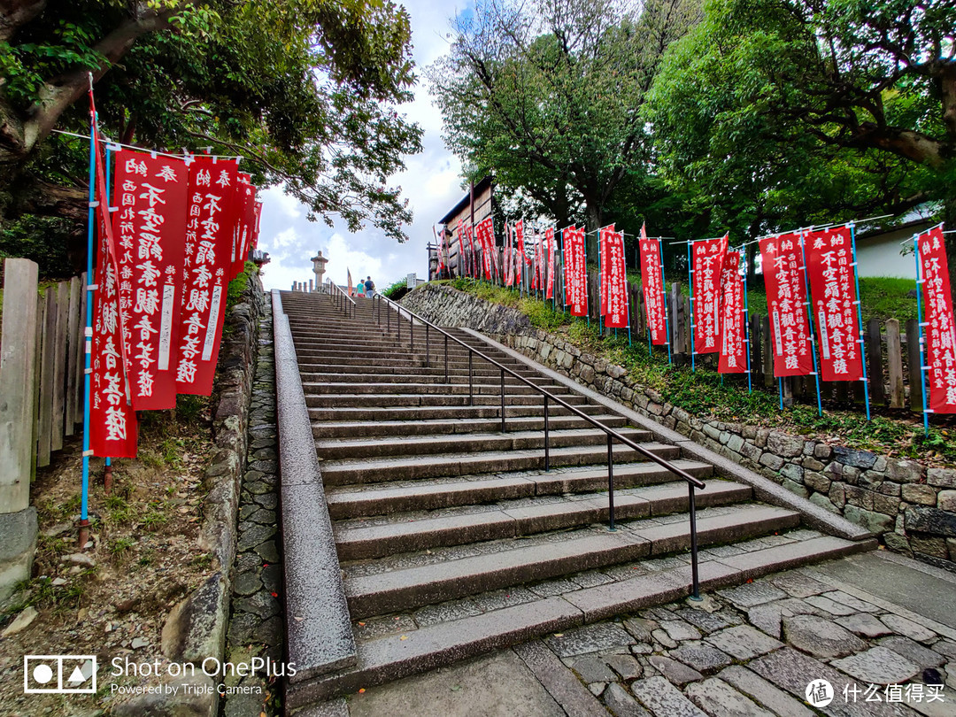 奈良 小鹿遍地的社寺之都