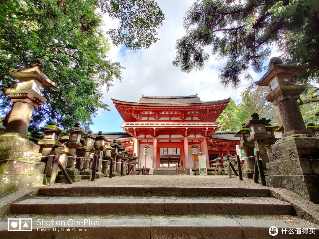 奈良 小鹿遍地的社寺之都