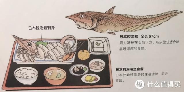 《餐桌上的生物进化》：原来好吃的它们，竟然有这么多秘密