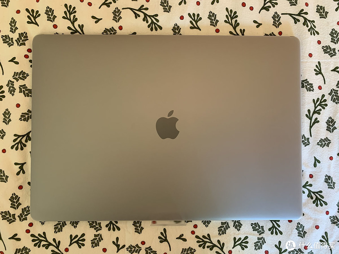 这就是MacBook 16' 乞丐版本尊了 不亮且反着的logo