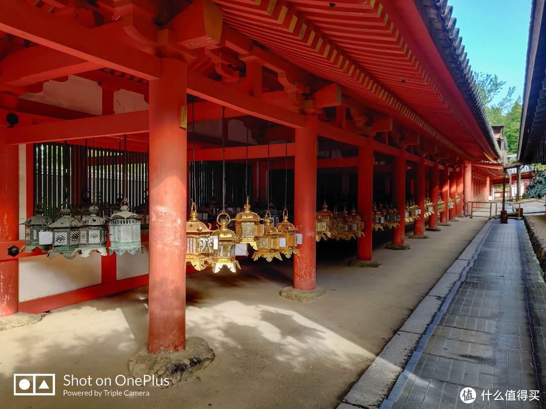 奈良 小鹿遍地的社寺之都