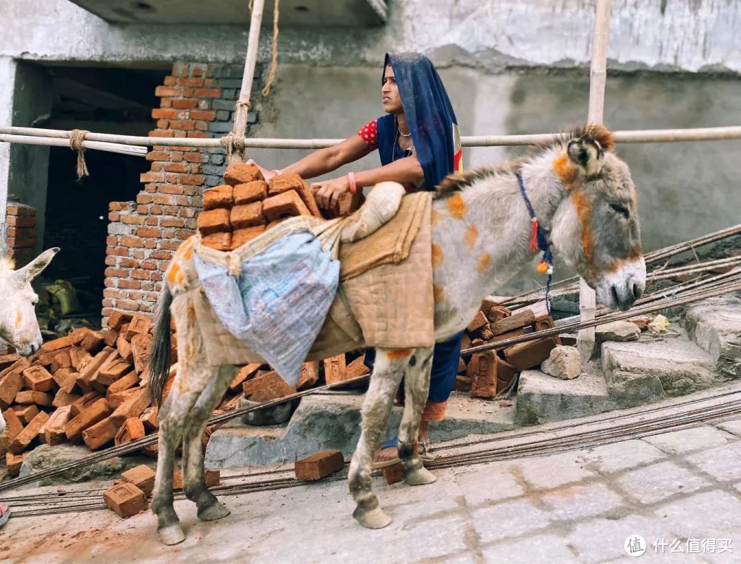 亲身体验，关于印度旅行的谣言和真相。