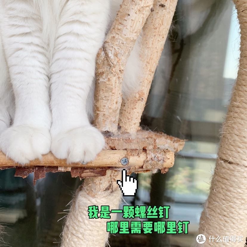 100元内为主子打造一个独一无二的猫爬架