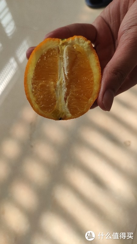 撸了199-100的生鲜券，我买了oranges！