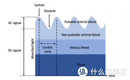 防猝死还是更焦虑？专业解读华为心律筛查301医院心脏健康研究 Watch GT2心律不齐早搏房颤