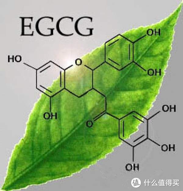 万丽酒店的免费茶不错 没想到这么大来头