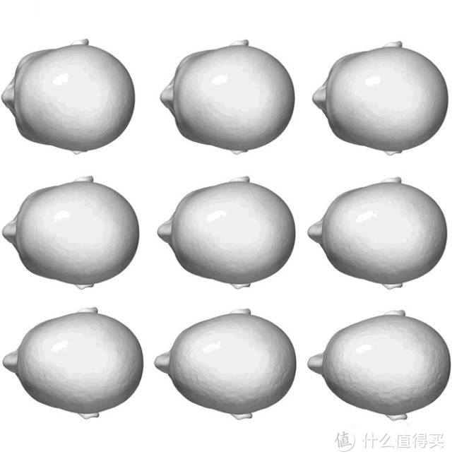 头型不同的模型展示