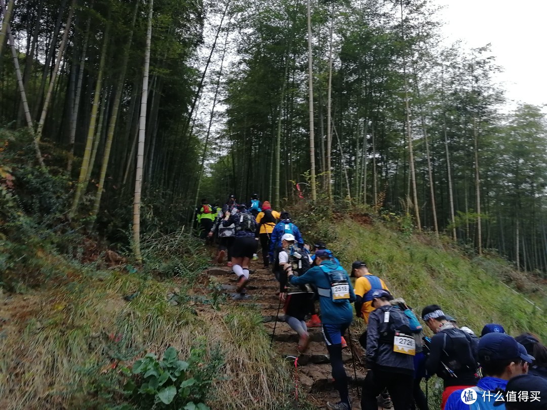 The Nice Food？TNF莫干山国际越野赛35km组“玩”赛记