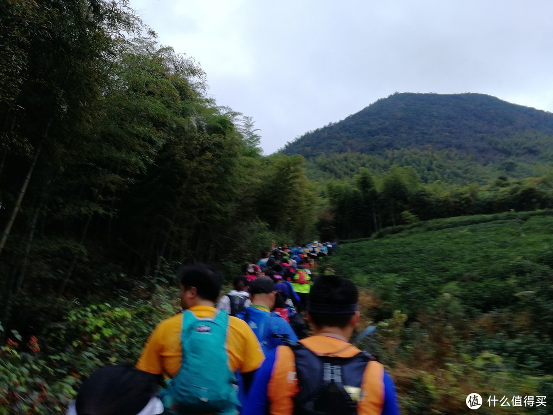 The Nice Food？TNF莫干山国际越野赛35km组“玩”赛记