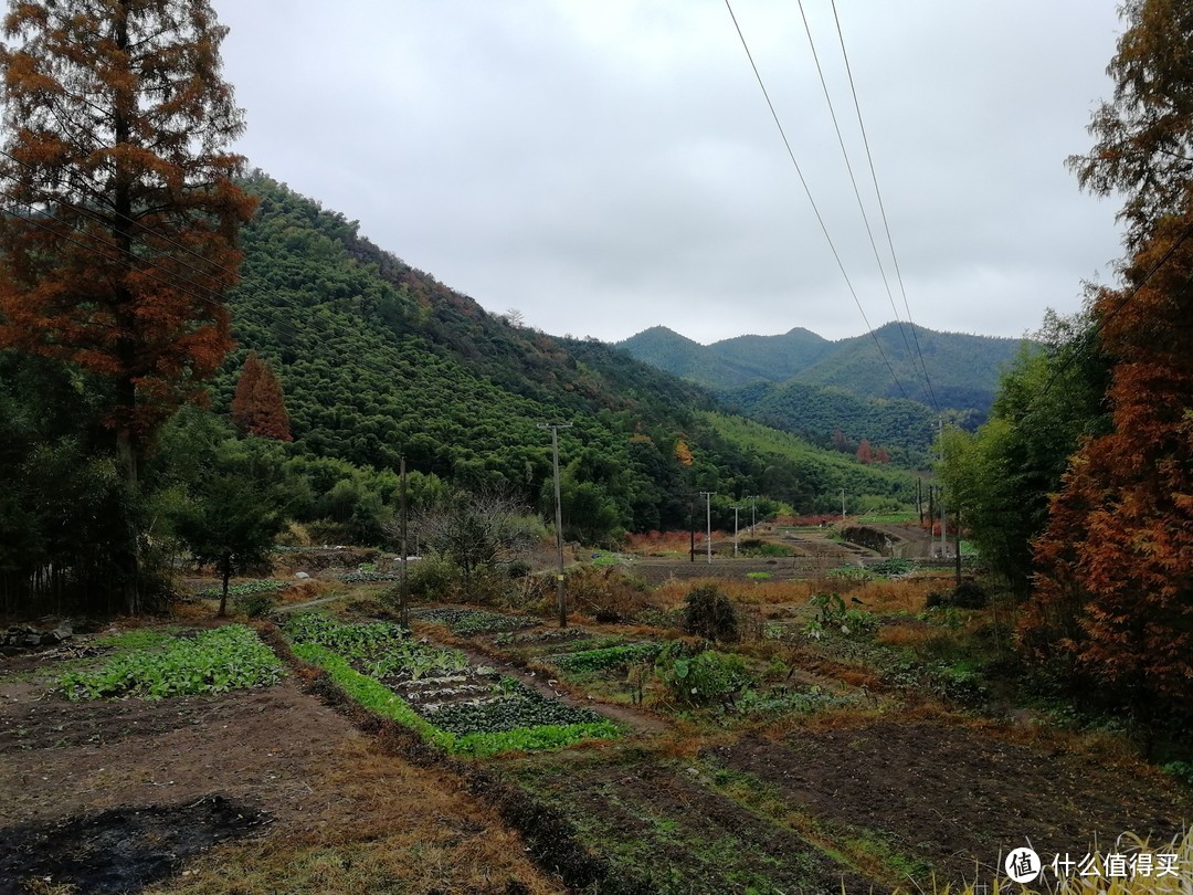 The Nice Food？TNF莫干山国际越野赛35km组“玩”赛记