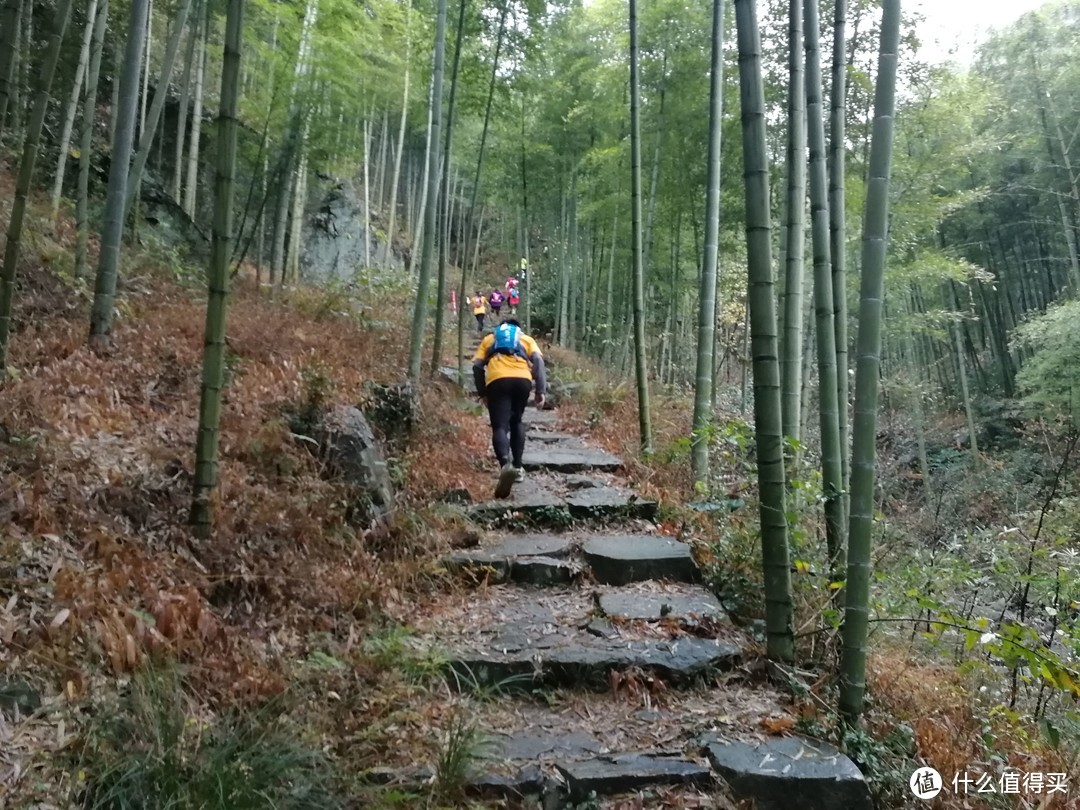 The Nice Food？TNF莫干山国际越野赛35km组“玩”赛记