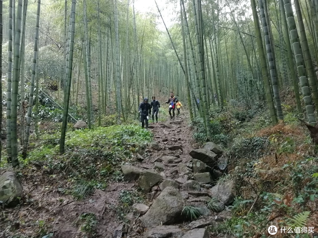 The Nice Food？TNF莫干山国际越野赛35km组“玩”赛记