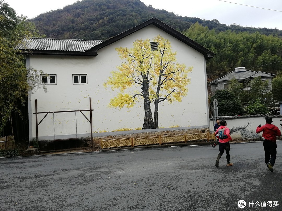 The Nice Food？TNF莫干山国际越野赛35km组“玩”赛记