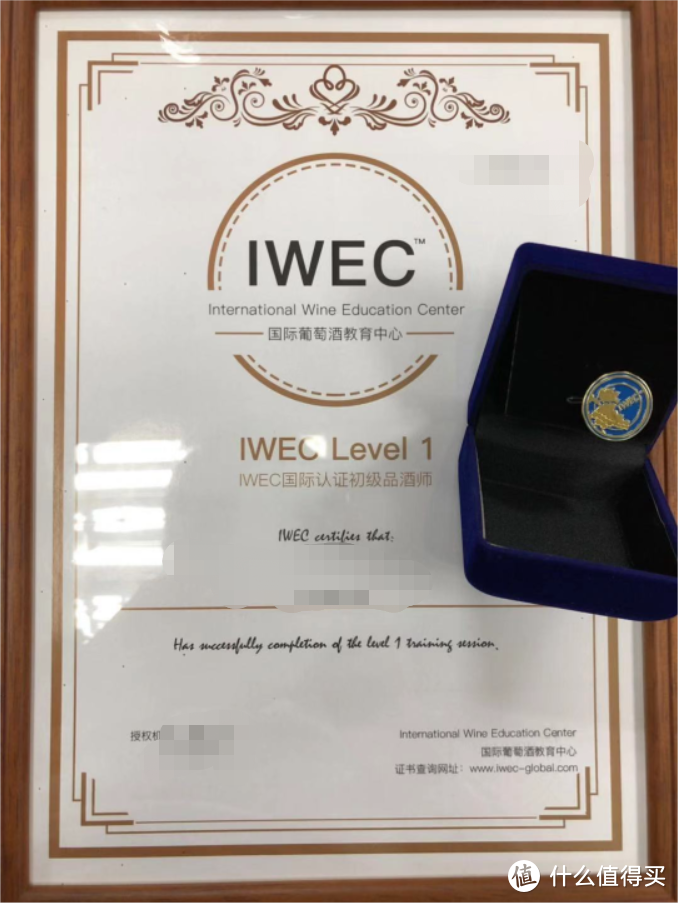 红酒课程学习：IWEC LEVEL 1品酒师认证分享