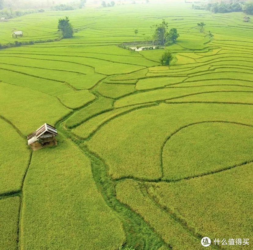 琅勃拉邦，这里或许是亚洲下一个热门旅行地，趁它火爆之前，赶紧去探秘这块神奇的土地吧