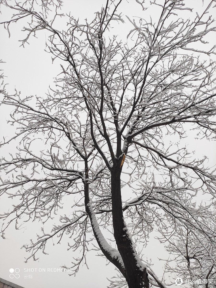 2020年北京第一场雪，带来了新惊喜