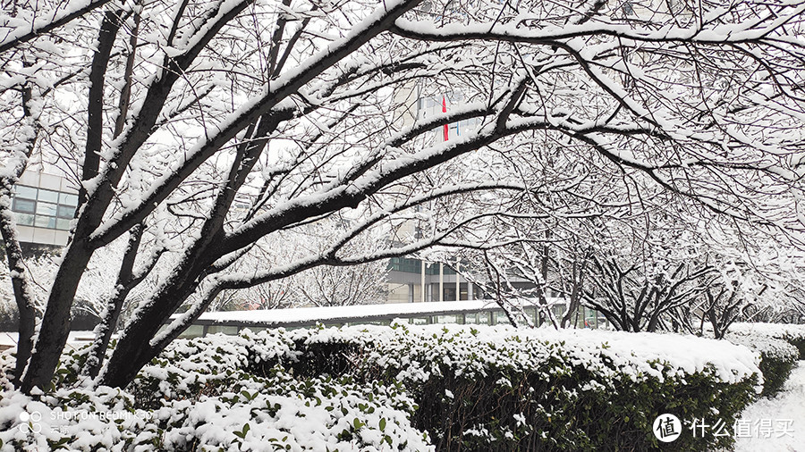 2020年北京第一场雪，带来了新惊喜