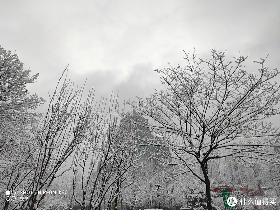 2020年北京第一场雪，带来了新惊喜