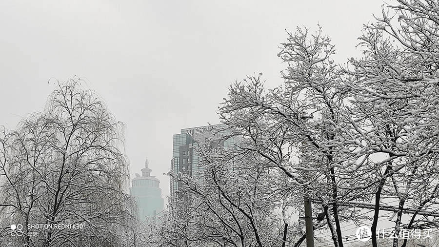 2020年北京第一场雪，带来了新惊喜