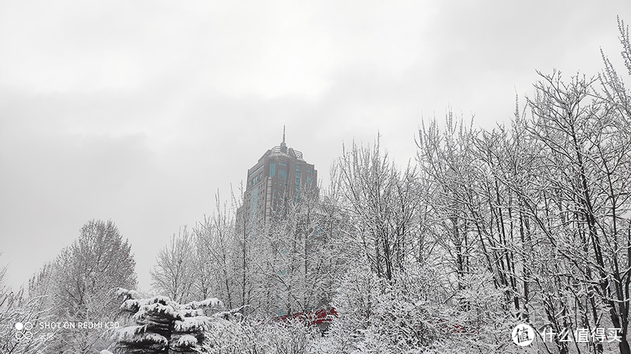 2020年北京第一场雪，带来了新惊喜