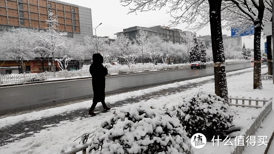 2020年北京第一场雪，带来了新惊喜