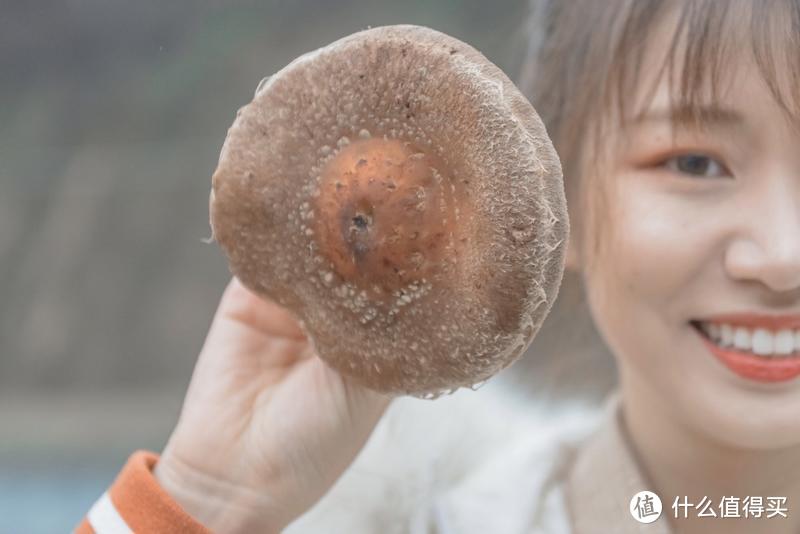 72小时短途旅行：去留坝找一方净土，过“李子柒同款”小日子