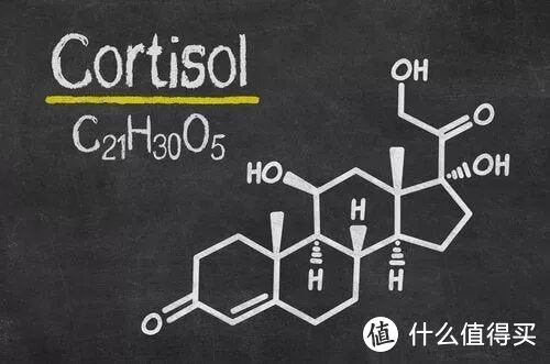 压力胖、暴饮暴吃、吃到停不下来，有可能是皮质醇出问题了