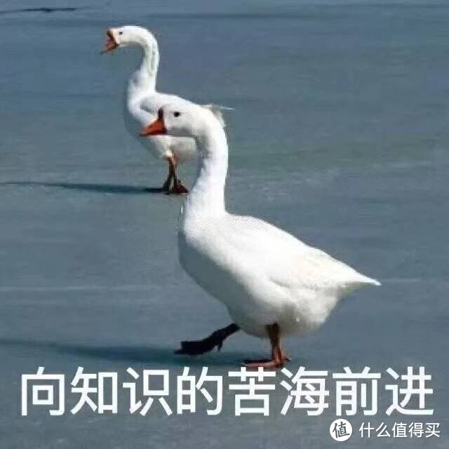 毕业党的春天——从开题报告到毕业检测，这些资源收藏好，码文路上不慌张