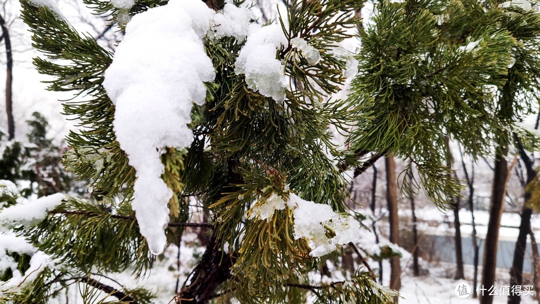 米9记录——2020年的第一场雪