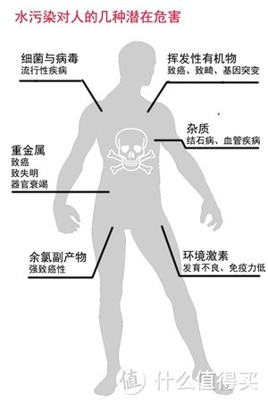 水污染对人体的危害