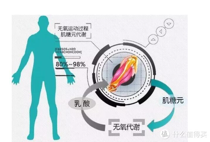 学会呼吸有多重要？——运动高效了，精神饱满了，颜值止损了······