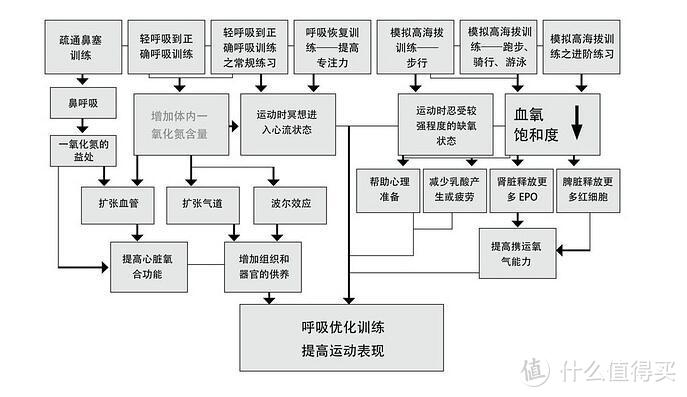 学会呼吸有多重要？——运动高效了，精神饱满了，颜值止损了······