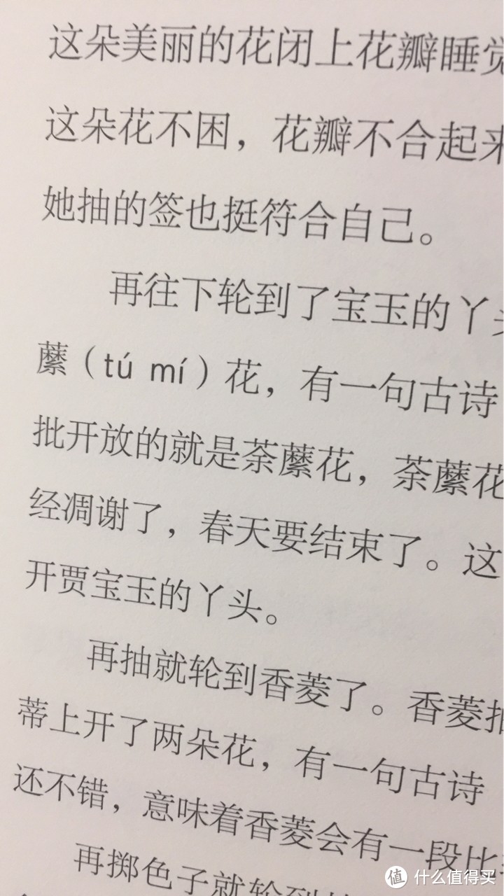 给孩子打开漫步古典文学花园的大门——简评《刘心武爷爷讲红楼梦》