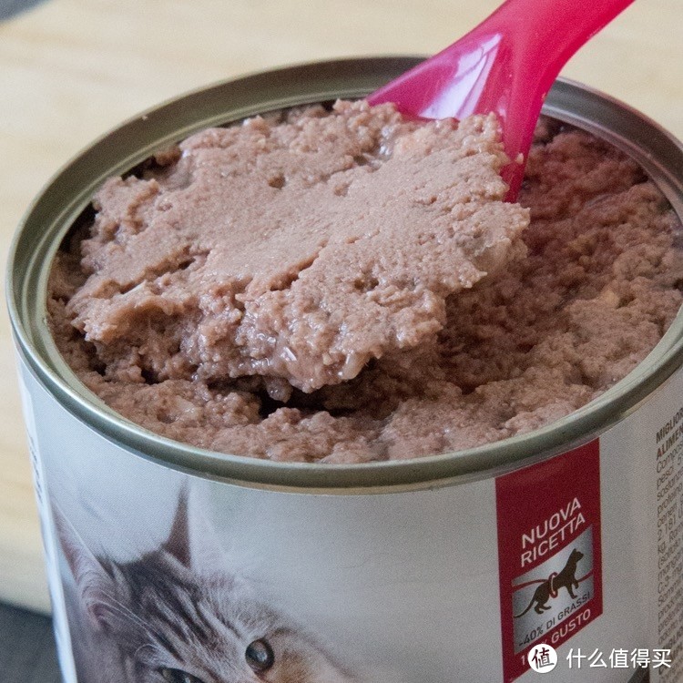 关于猫主子主食猫罐头性价比 哪款更值得入手？