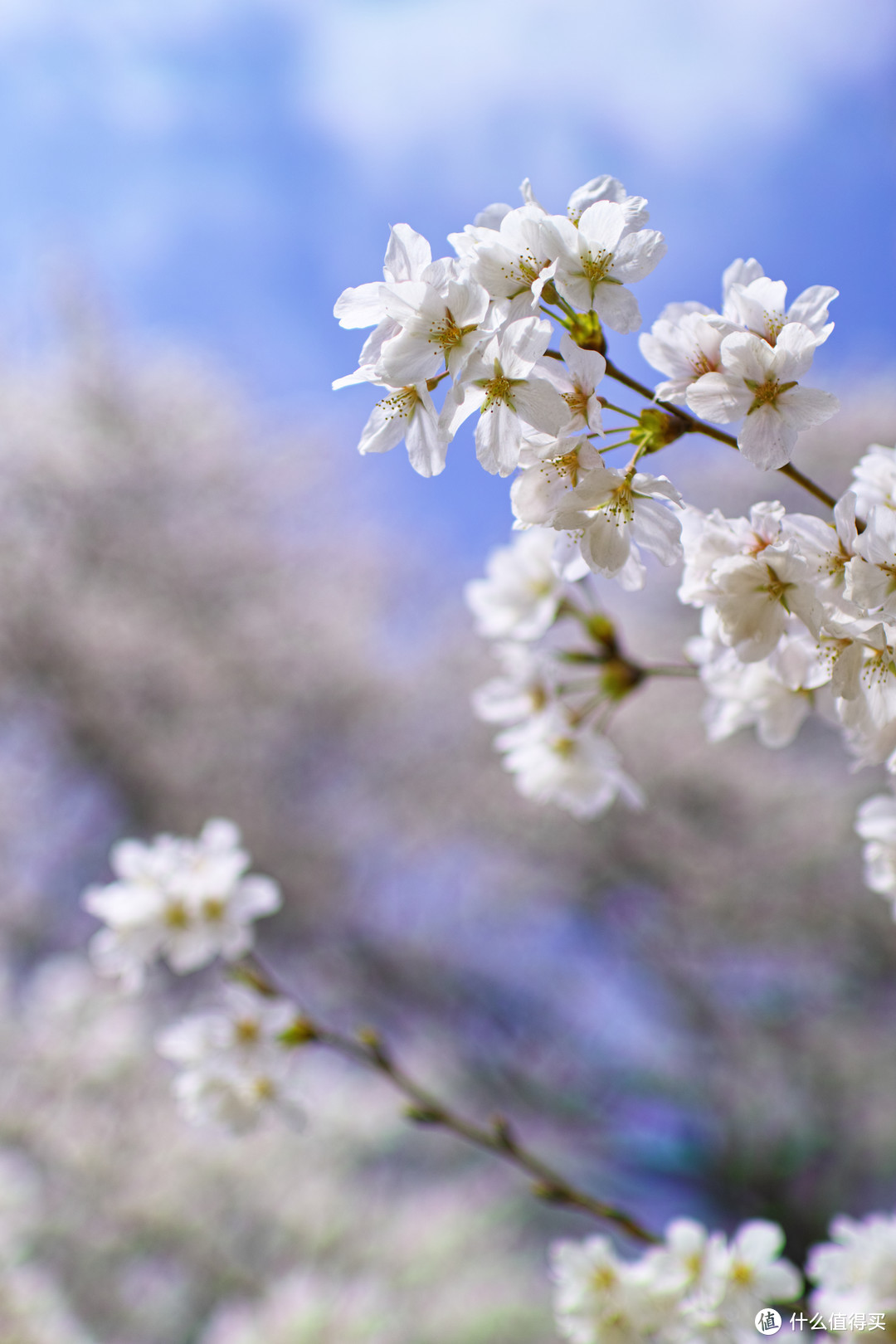 你也许需要一个 适马30mm F1.4 art 镜头佳能口 fringer环转富士XE2