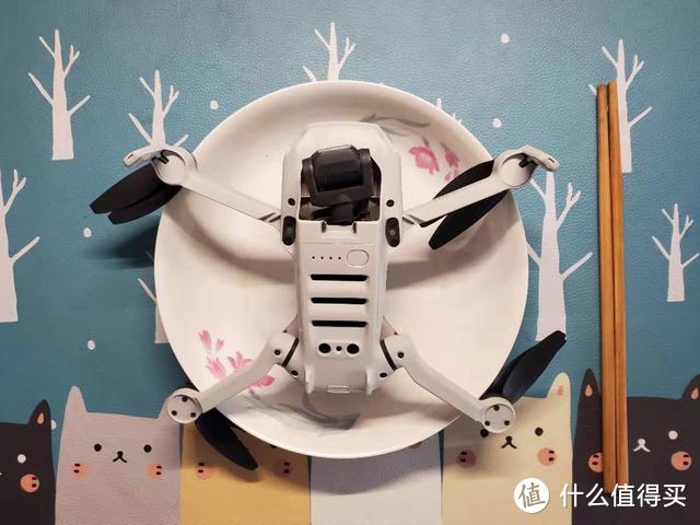 有惊无险——大疆Mavic Mini“空难”搜救