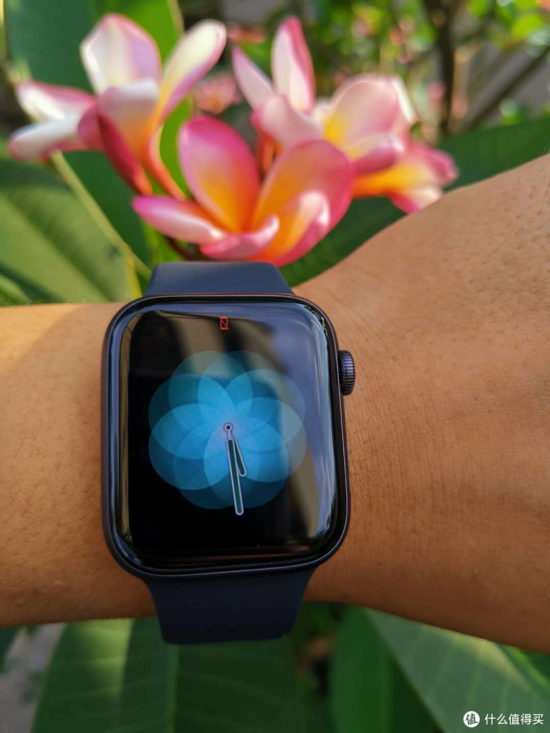 APPLE Watch Series 4被认为是苹果手表系列产品中定位较为清晰、产品功能也比较完整的产品