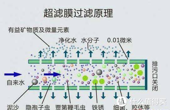 5000字聊聊小白版家用净水器攻略，实测张大妈爆款红嘴鸟到底值不值得买