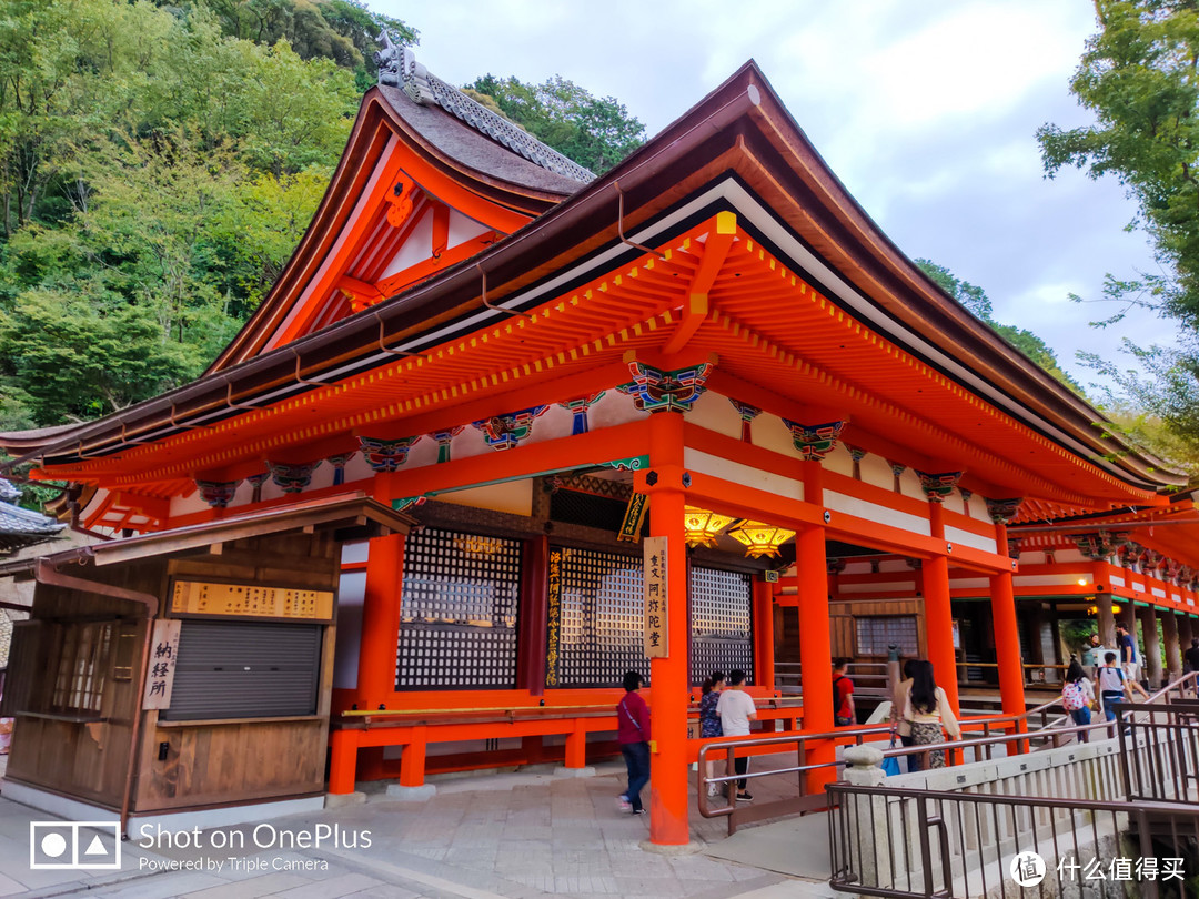 京都市内补全 岚山竹林探秘