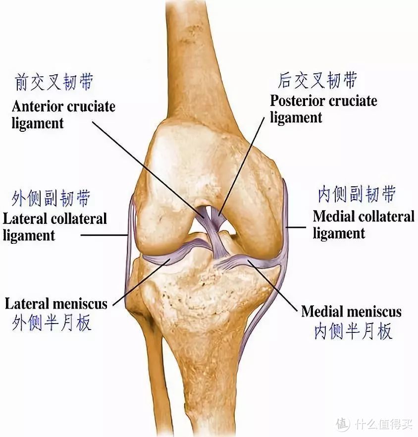 为什么一定要拉伸？反正不是瘦腿...