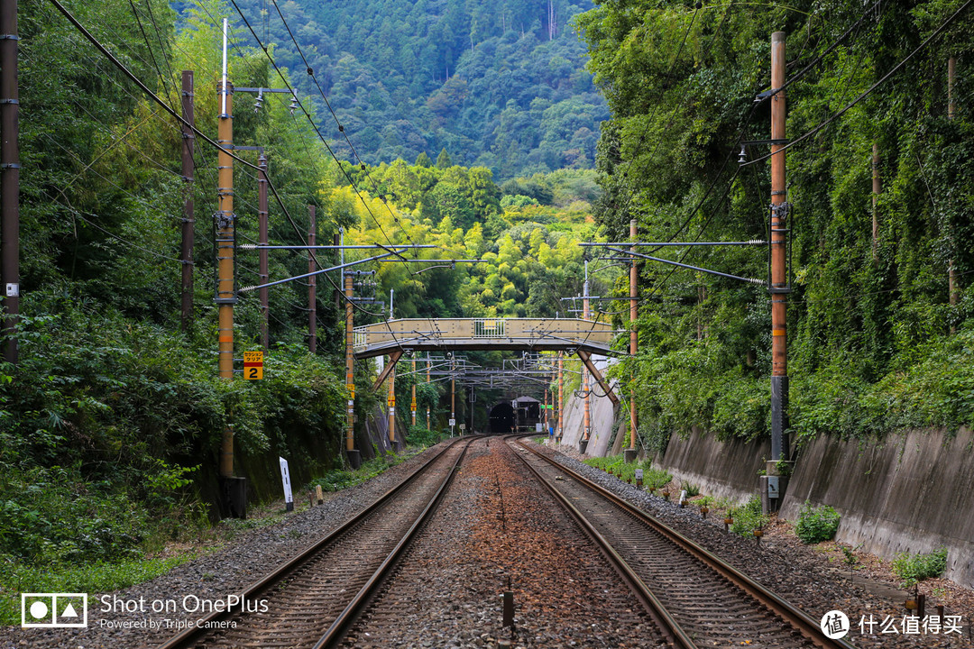 京都市内补全 岚山竹林探秘