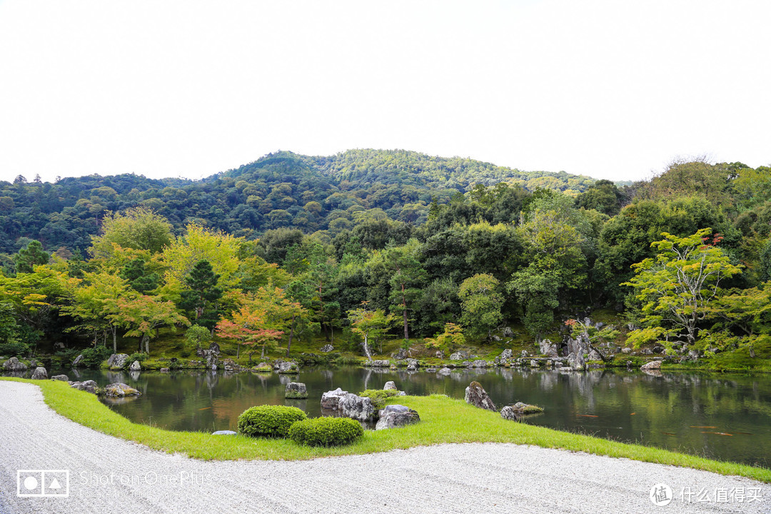 京都市内补全 岚山竹林探秘